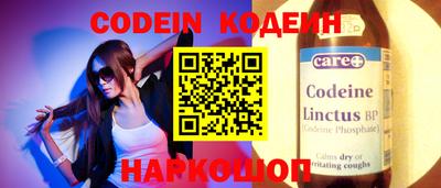 молекула духа Кингисепп