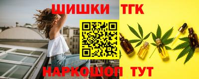 молекула духа Кингисепп