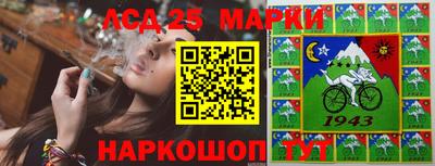 молекула духа Кингисепп