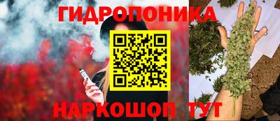 молекула духа Кингисепп