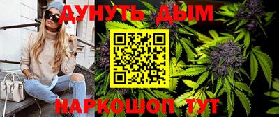 молекула духа Кингисепп