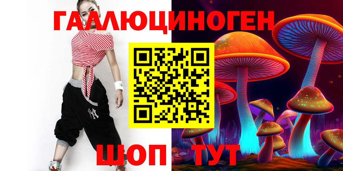 Крымск  Псилоцибиновые грибы Psilocybine cubensis  Вход с VPN 