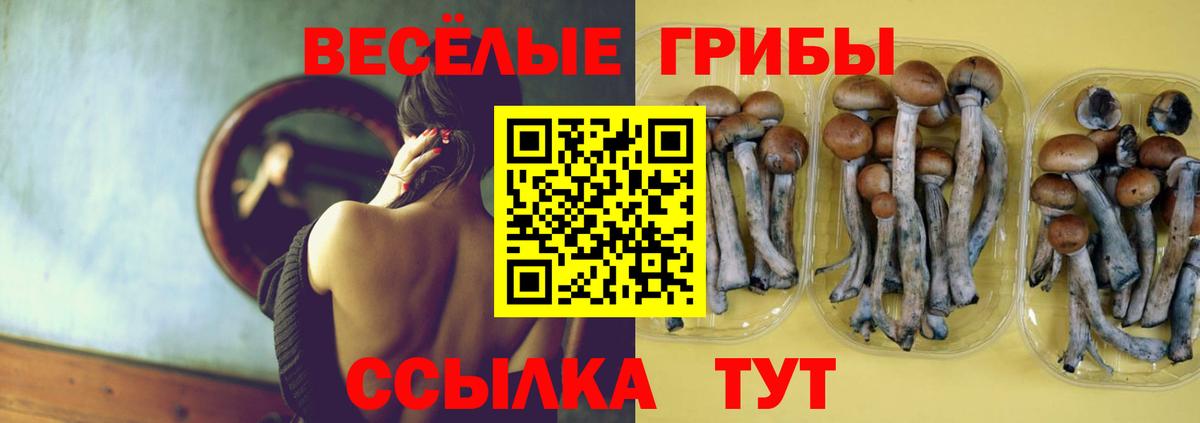 Галлюциногенные грибы Magic Shrooms Крымск
